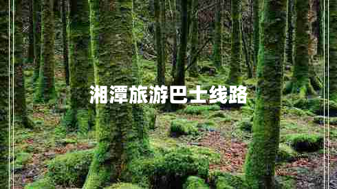 湘潭旅游巴士線路