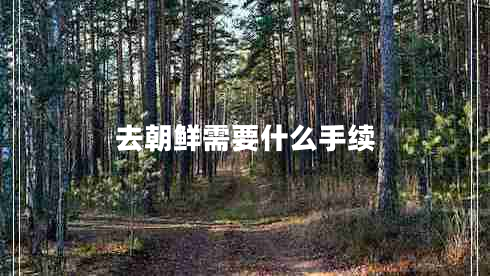 去朝鮮需要什么手續(xù) 去朝鮮需要什么手續(xù)