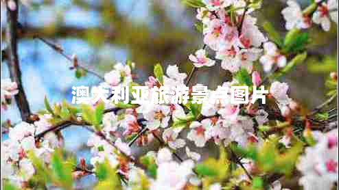 澳大利亞旅游景點圖片