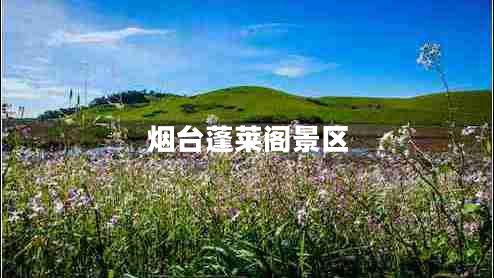 煙臺(tái)蓬萊閣景區(qū)