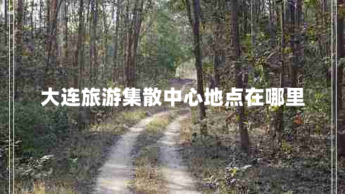 大連旅游集散中心地點(diǎn)在哪里