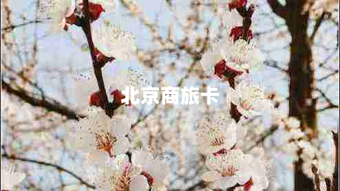 北京商旅卡 北京商旅卡