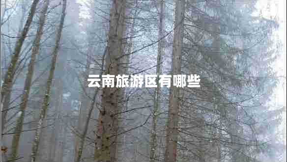 云南旅游區(qū)有哪些