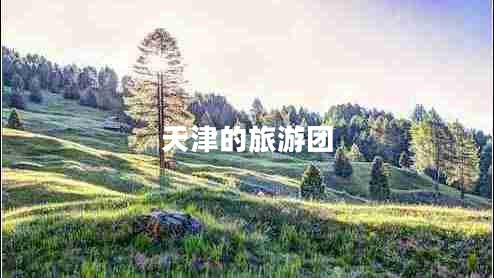 天津的旅游團(tuán) 天津的旅游團(tuán)