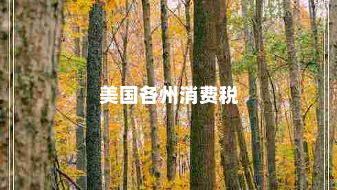 美國各州消費稅 美國各州消費稅