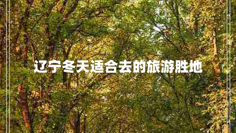 遼寧冬天適合去的旅游勝地 遼寧冬天適合去的旅游勝地