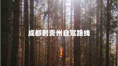 成都到貴州自駕路線(xiàn)