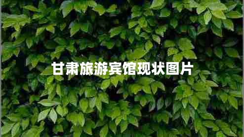 甘肅旅游賓館現(xiàn)狀圖片