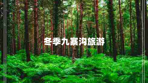 冬季九寨溝旅游