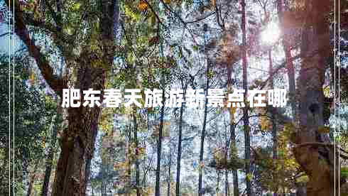 肥東春天旅游新景點(diǎn)在哪 肥東春天旅游新景點(diǎn)在哪