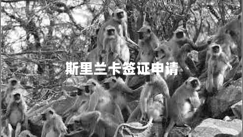 斯里蘭卡簽證申請