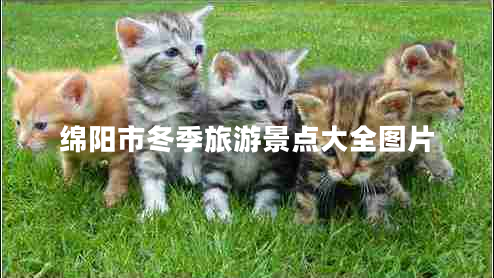 綿陽市冬季旅游景點大全圖片