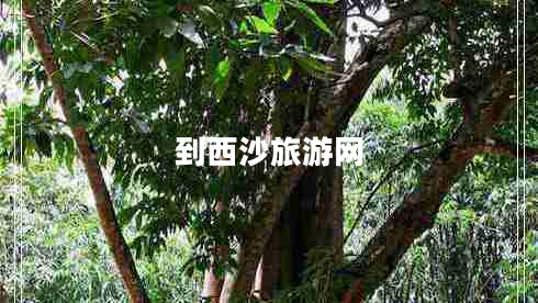 到西沙旅游網(wǎng) 到西沙旅游網(wǎng)