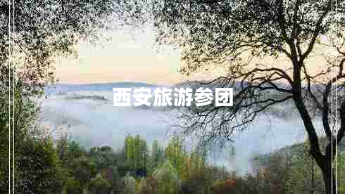 西安旅游參團(tuán)
