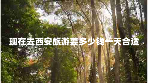 現(xiàn)在去西安旅游要多少錢一天合適