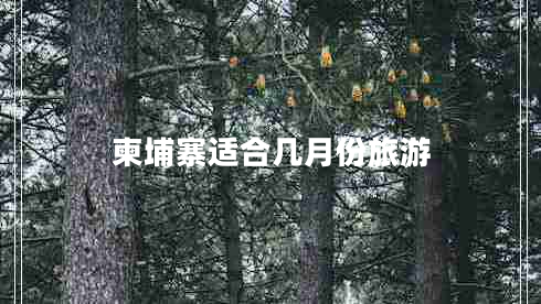 柬埔寨適合幾月份旅游 柬埔寨適合幾月份旅游