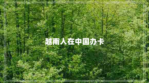 越南人在中國辦卡