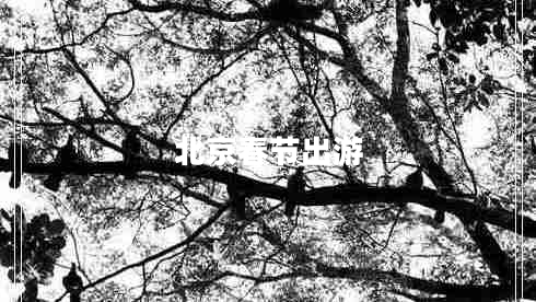 北京春節(jié)出游