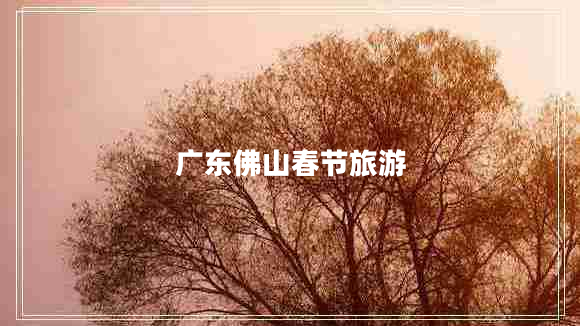 廣東佛山春節(jié)旅游