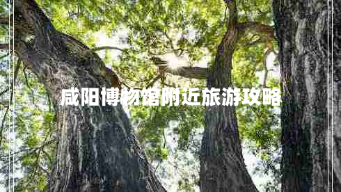 咸陽博物館附近旅游攻略 咸陽博物館附近旅游攻略