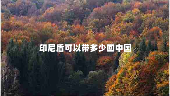 印尼盾可以帶多少回中國(guó)