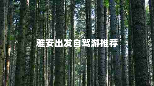 雅安出發(fā)自駕游推薦 雅安出發(fā)自駕游推薦