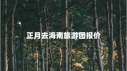 正月去海南旅游團報價