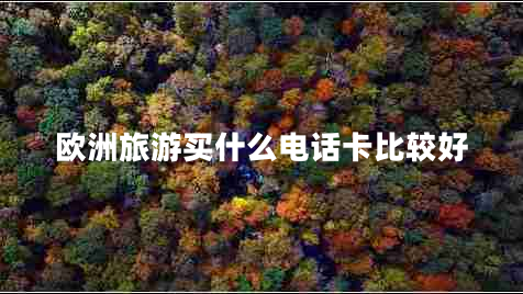 歐洲旅游買什么電話卡比較好 歐洲旅游買什么電話卡比較好