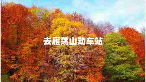 去雁蕩山動車站