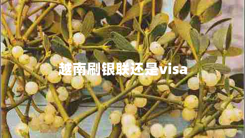 越南刷銀聯(lián)還是visa
