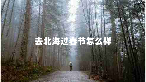 去北海過(guò)春節(jié)怎么樣 去北海過(guò)春節(jié)怎么樣