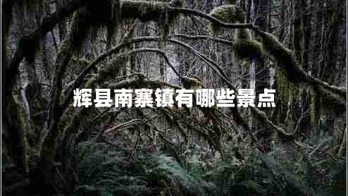 輝縣南寨鎮(zhèn)有哪些景點