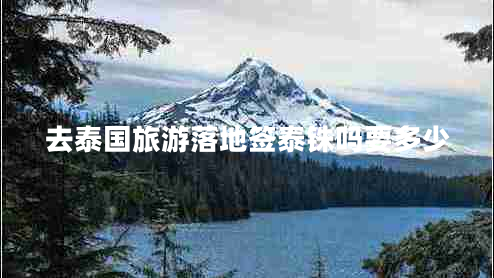 去泰國旅游落地簽泰銖嗎要多少