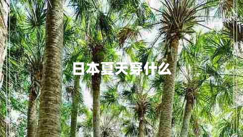 日本夏天穿什么 日本夏天穿什么