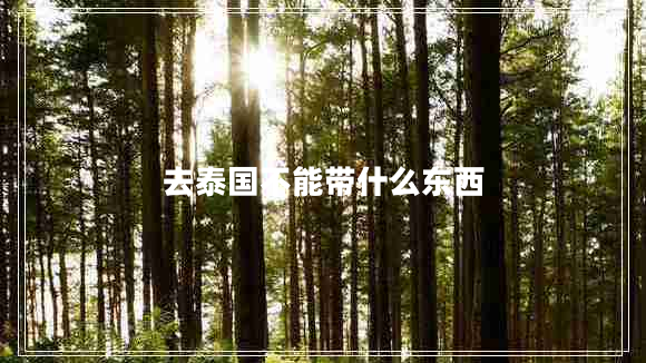 去泰國不能帶什么東西