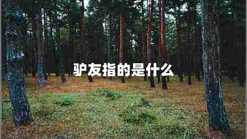 驢友指的是什么