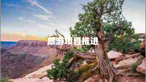 旅游項(xiàng)目推進(jìn)