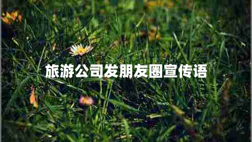 旅游公司發(fā)朋友圈宣傳語
