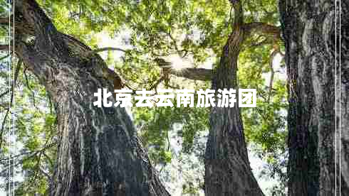 北京去云南旅游團(tuán) 北京去云南旅游團(tuán)