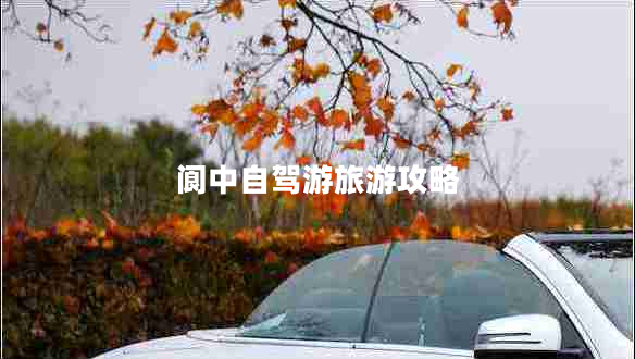 閬中自駕游旅游攻略