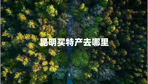 昆明買(mǎi)特產(chǎn)去哪里