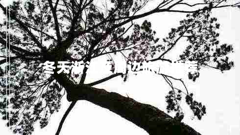 冬天浙江及周邊旅游推薦