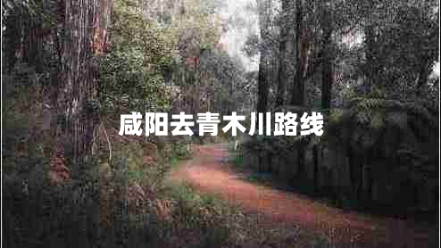 咸陽(yáng)去青木川路線