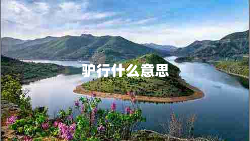 驢行什么意思 驢行什么意思