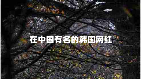 在中國(guó)有名的韓國(guó)網(wǎng)紅