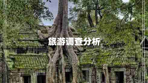 旅游調(diào)查分析
