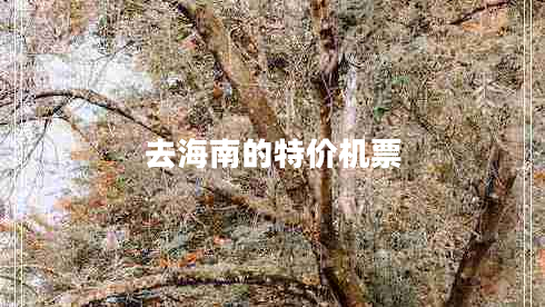 去海南的特價機(jī)票