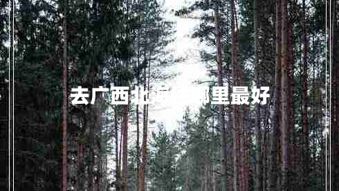 去廣西北海住哪里最好 去廣西北海住哪里最好