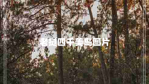 老撾四千美島圖片
