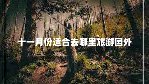 十一月份適合去哪里旅游國(guó)外